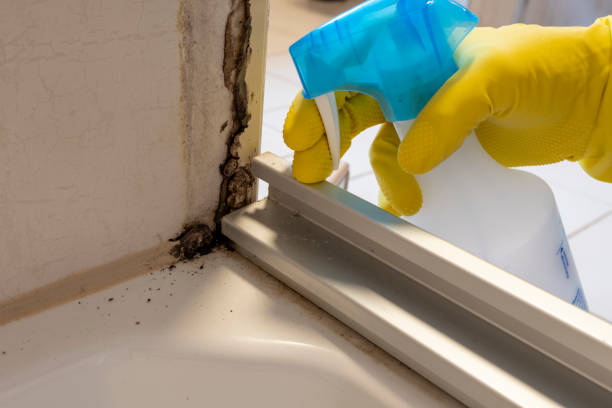 Best Biohazard Mold Removal  in New Windsor, MD